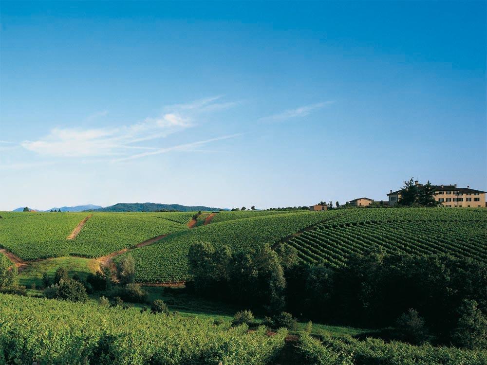 Agriturismo Tenuta La Marchesa Novi Ligure Luaran gambar